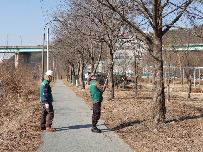 처인구, 경안천변 5.5km 구간 봄맞이 가로환경 정비