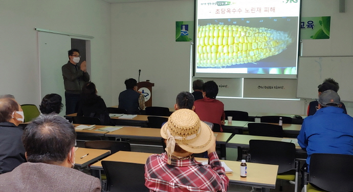 수원시농업기술센터, 초당옥수수 재배 기술 교육 개최