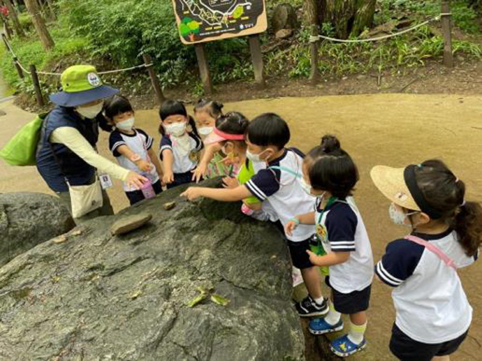 성남시, 산림복지프로그램 운영…1만8900명 참여 규모