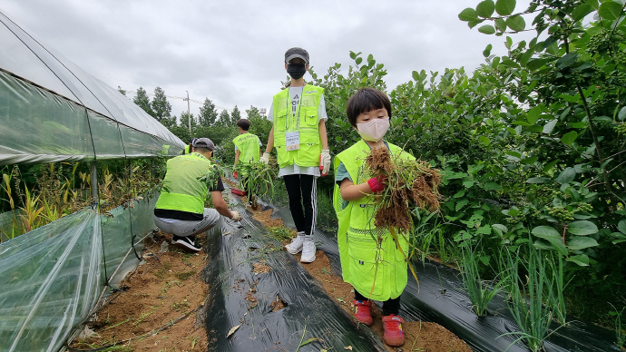 하남시자원봉사센터, 19기 사랑나눔 가족봉사단 활동 ‘농촌 일손돕기 봉사