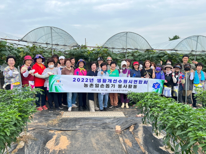 한국생활개선 수원시연합회, 일손 부족한 포도농가에서 봉사 활동