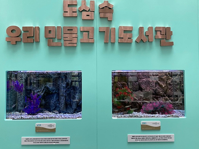 광교홍재도서관에서 아름다운 토종 민물고기 만난다