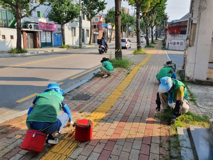 평택시 통복동 새마을부녀회, 추석맞이 제초작업 및 대청소 진행