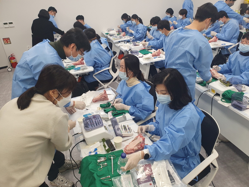 성남 광역형 국산의료기기 교육훈련지원센터 정부-지자체 협력, K의료기기 
