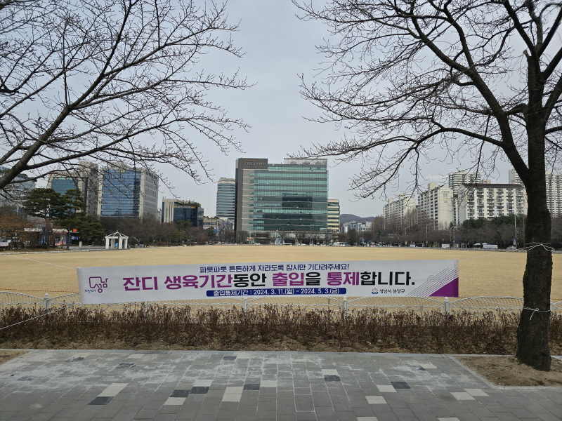 성남시, 분당구청 앞 잔디광장 5월 3일까지 ‘잔디 휴식기간제’ 시행